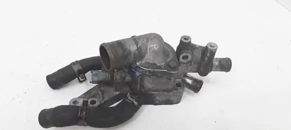 Thermostat/thermostat housing