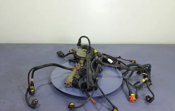 Jeep Compass Other wiring loom 00552693140