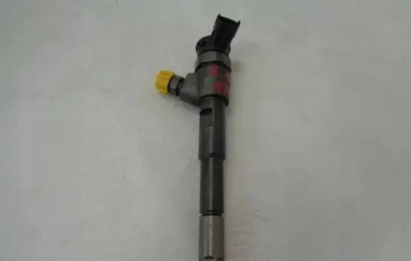 Renault Kangoo II Fuel injector 0445110652