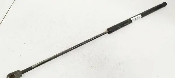 Tailgate/trunk strut/damper