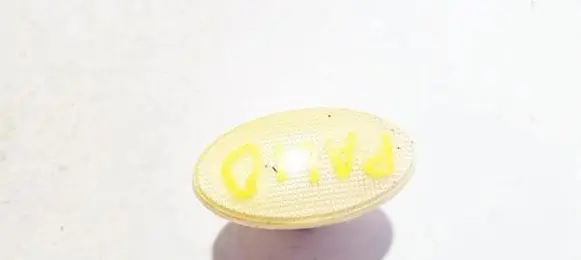 Fiat Palio Front fender indicator light 02136010