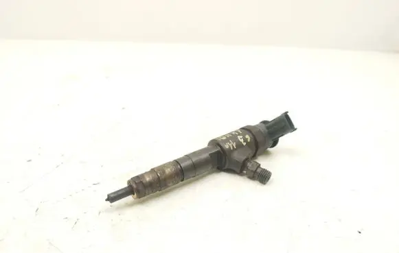 Citroen C3 Fuel injector 0445110339