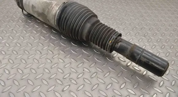Land Rover Range Rover Sport L494 Air suspension front shock absorber DPLA3C286BG