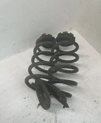 Renault Zoe Rear coil spring