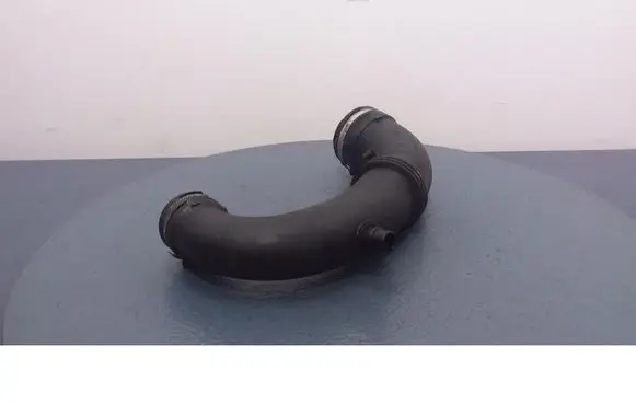 Renault Scenic I Air intake hose/pipe 8200082448