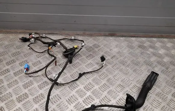Audi A5 Front door wiring loom 8W8971030D