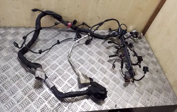 Engine installation wiring loom