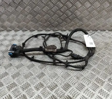 Maserati Ghibli Other wiring loom 670106283