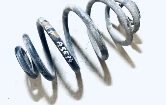 Volkswagen PASSAT B5 Rear coil spring