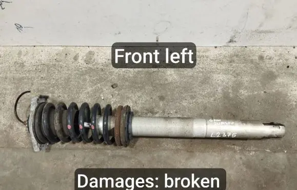 Maserati GranTurismo Front shock absorber with coil spring 230029
