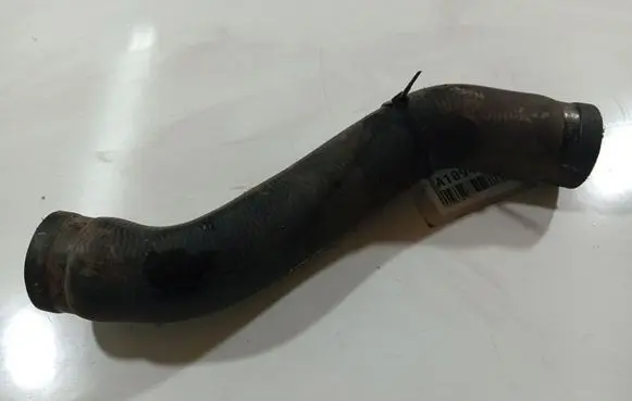 Nissan Almera Tino Engine coolant pipe/hose 