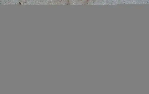 Renault Clio III Ignition key card reader s118539001h