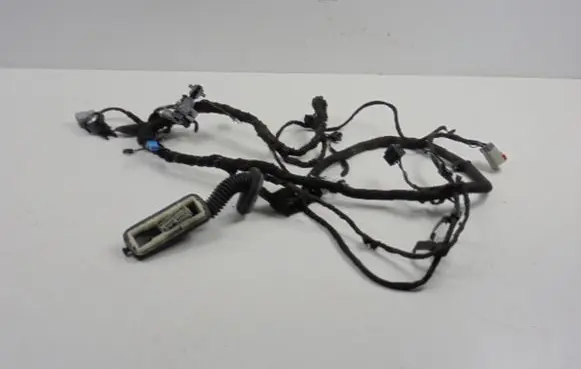 Land Rover Range Rover Sport L320 Front door wiring loom