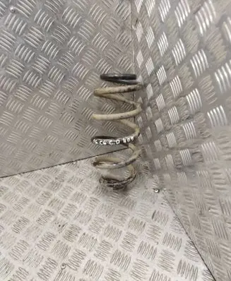 Rear coil spring