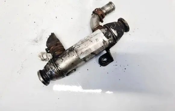 Citroen Berlingo EGR valve cooler