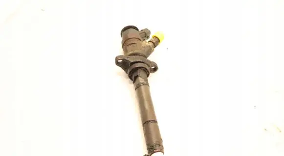 Peugeot Partner Fuel injector 0445110311