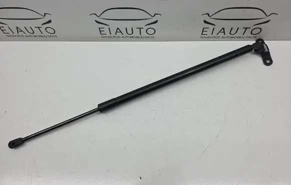 Tailgate/trunk strut/damper