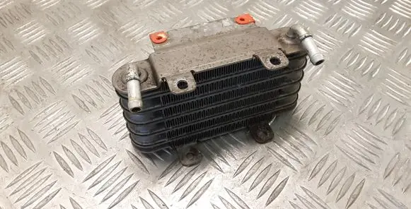 Land Rover Range Rover L322 Fuel cooler (radiator) KH129623000
