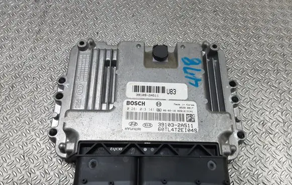 Hyundai Getz Engine control unit/module 391032A511 0281013141