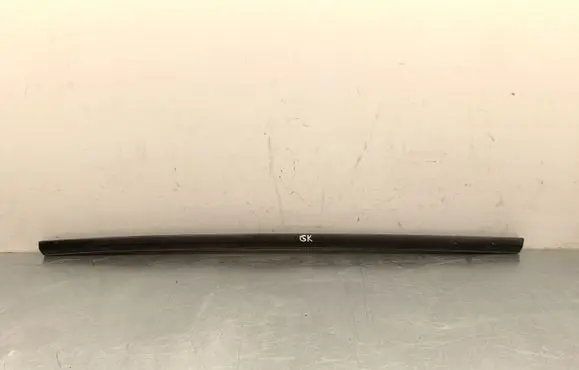 Tesla Model 3 Rear door glass trim molding 108074501J