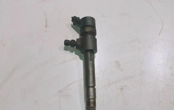 Opel Signum Fuel injector 0445110165 8AZDYX67B