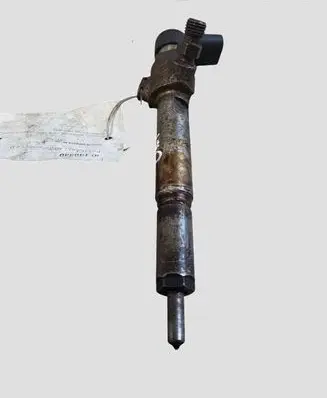 Renault Megane III Fuel injector H8200294788