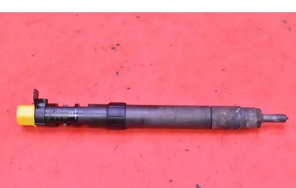Citroen C5 Fuel injector 9686191080