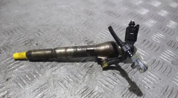 Renault Megane III Fuel injector 
