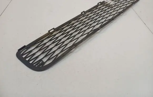 Volkswagen PASSAT B6 Front bumper lower grill 531120D050