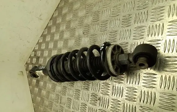 Rear shock absorber/damper