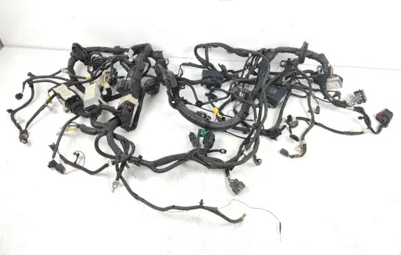 Ford Mustang Mach-E Other wiring loom LJ8T14290EBF