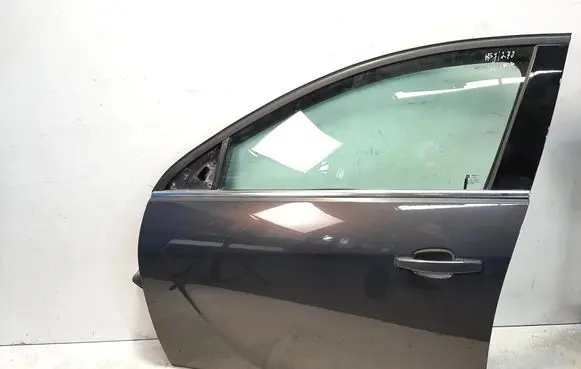 Opel Insignia A Front door 