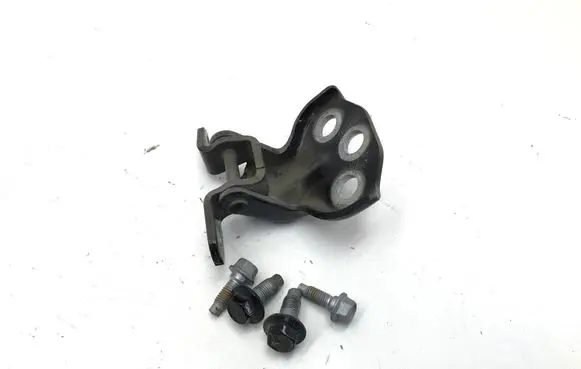 MG ZS Front door lower hinge 50011520
