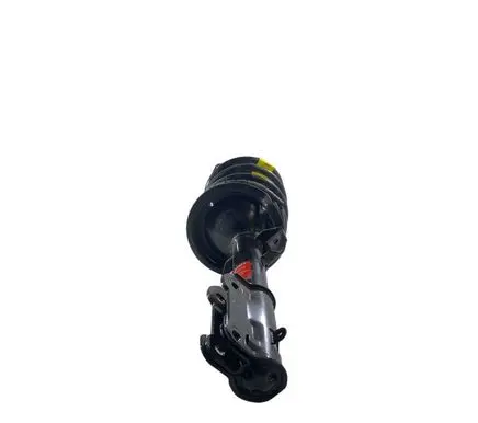Ford Mustang V Front shock absorber with coil spring 72540K
