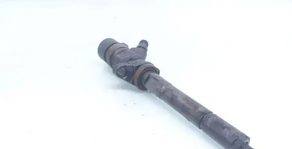 Volvo V50 Fuel injector 0445110259 328480