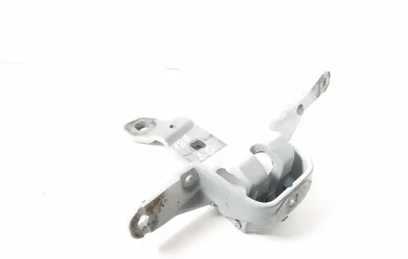 BMW 5 GT F07 Tailgate/trunk/boot hinge 7200534