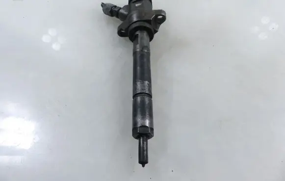 Peugeot Partner Fuel injector 0445110259