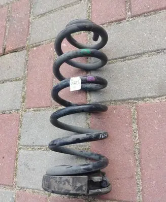 Rear coil spring
