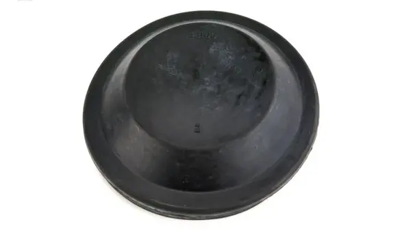Volkswagen PASSAT B6 Headlight/headlamp dust cover P3169