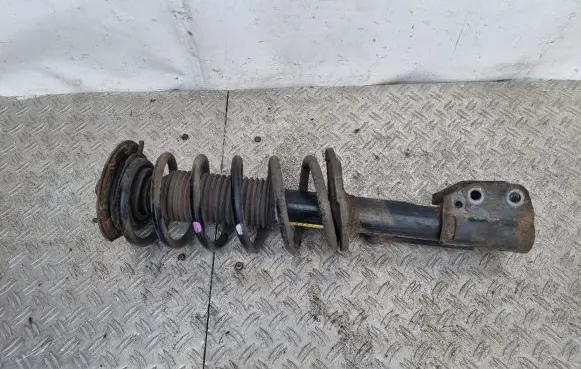 Chevrolet Captiva Front shock absorber with coil spring 7451285 95948811