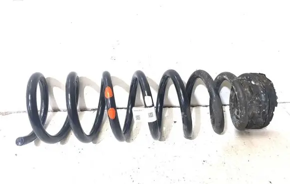 Rear coil spring