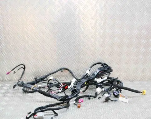 Other wiring loom