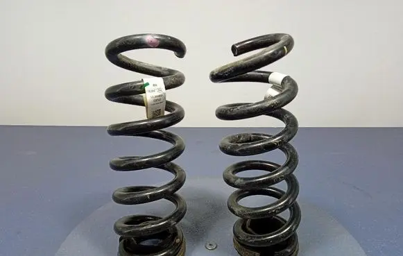 Rear coil spring