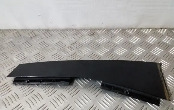 Other rear door trim element