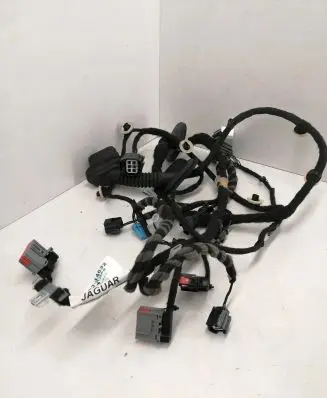 Jaguar I-Pace Rear door wiring loom M9D314632CC