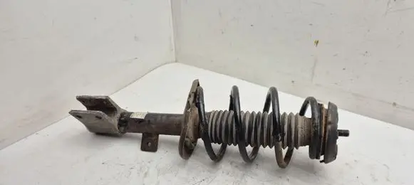 Peugeot Partner Front shock absorber with coil spring 824904003913
