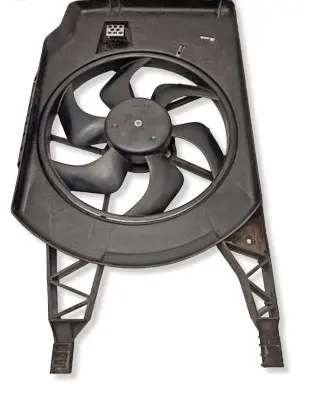 Renault Espace - Grand espace IV Electric radiator cooling fan 8200025635 1831070