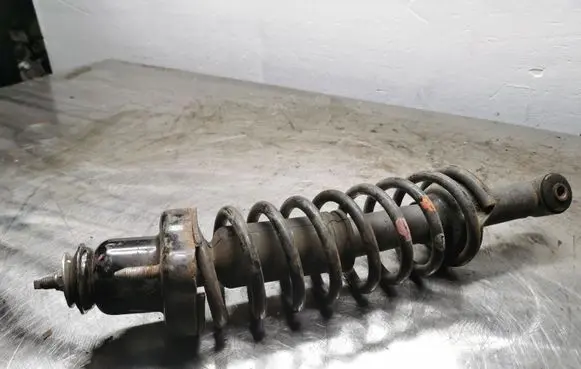 Mitsubishi Lancer X Rear shock absorber with coil spring 