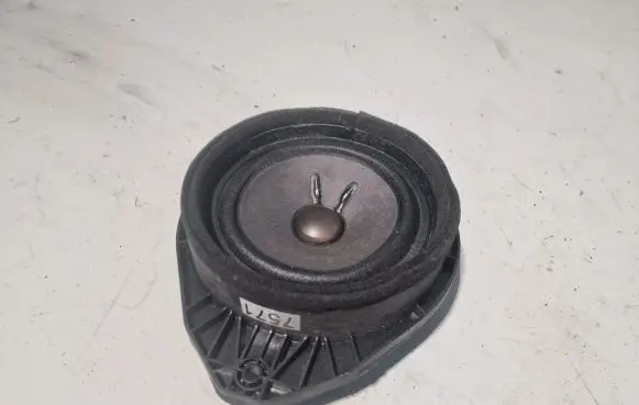 Buick Encore I Front door speaker 95137571