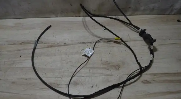 Renault Captur Other wiring loom 282456892R